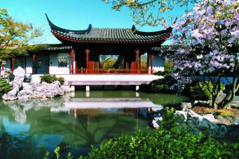 4-Hour Private Tour of Vancouver's Gardens - VanDusen Botanical Garden: rhododendron walk, Sino Himalayan Garden, and big space to wander