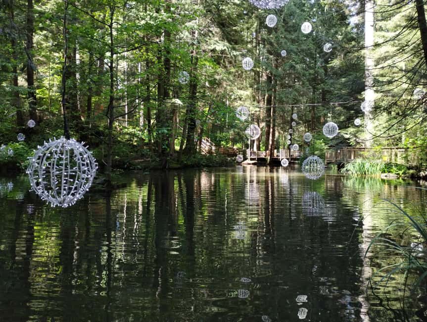 Capilano Br+Grouse Mtn+Dam+Lake&Hatcher/5in1/Small Group/Car - Capilano Suspension Bridge Park: the canyon walk, Cliffwalk, and Treetop Adventure