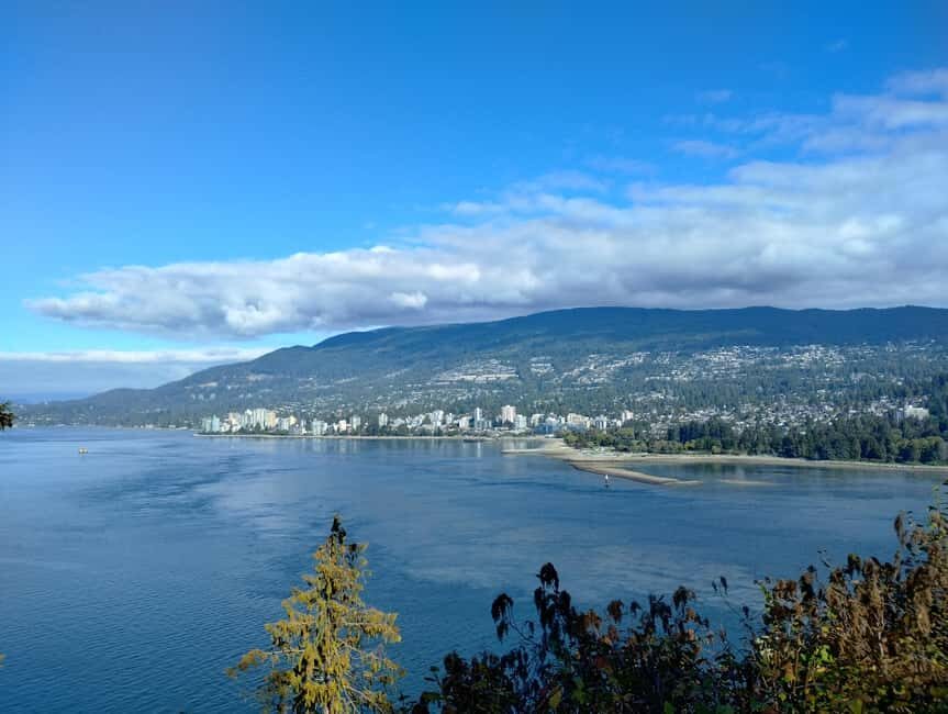 Capilano Br+Grouse Mtn+Dam+Lake&Hatcher/5in1/Small Group/Car - Grouse Mountain: rescued grizzlies, Peak chairlift, and raptor shows