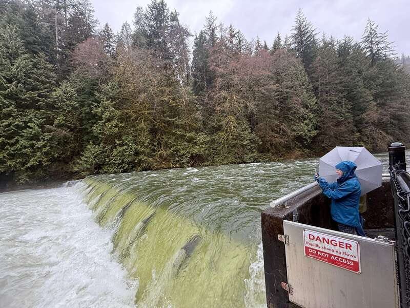 Capilano Br+Grouse Mtn+Dam+Lake&Hatcher/5in1/Small Group/Car - Who this tour suits best (and who might want a simpler day)