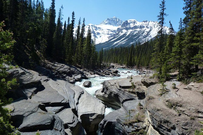 Caribou - Discover the Best of the Rockies (8-Days) - Day 3: Lake Louise, Moraine Lake, and the Icefields-class icons