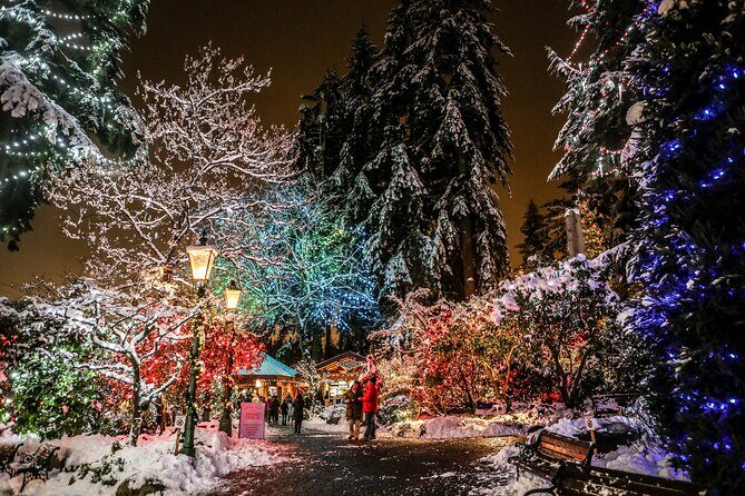 Explore Vancouver City & Capilano Suspension Bridge Canyon Lights - Capilano Suspension Bridge Canyon Lights: The Main Event (Late Afternoon)