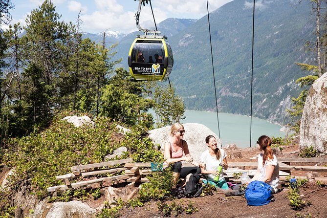 From Vancouver: Whistler & Sea to Sky Gondola with Shannon Falls - Shannon Falls Provincial Park: A Quick Stop with Big Water Energy