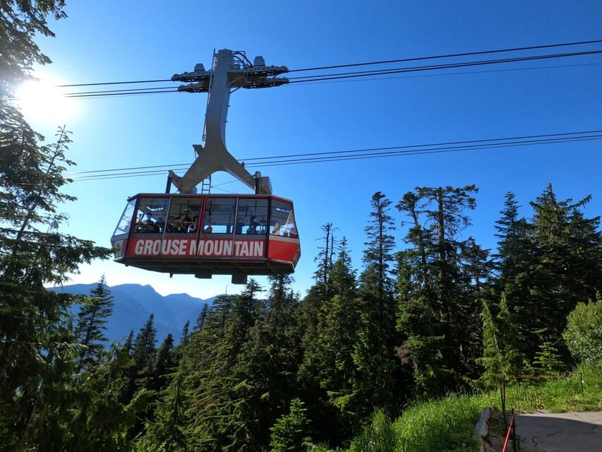 Grouse Mnt+StanleyPark+Hatchery+Cleveland Dam+LynnCanyonTOUR - Stanley Park at the end: totem poles, seawall views, and quick wildlife moments