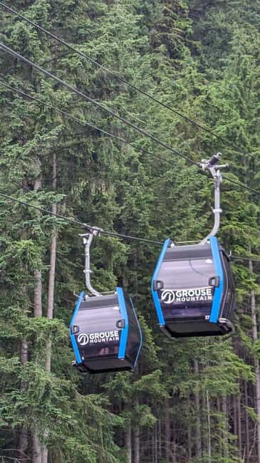 Grouse Mnt+StanleyPark+Hatchery+Cleveland Dam+LynnCanyonTOUR - Price and value: what $145 really covers on this day