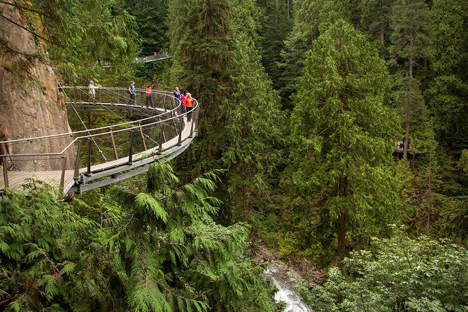 Grouse Mountain & Capilano Bridge Tour with Fish Hatchery - The Salmon Hatchery Stop: Small Time, Big Meaning