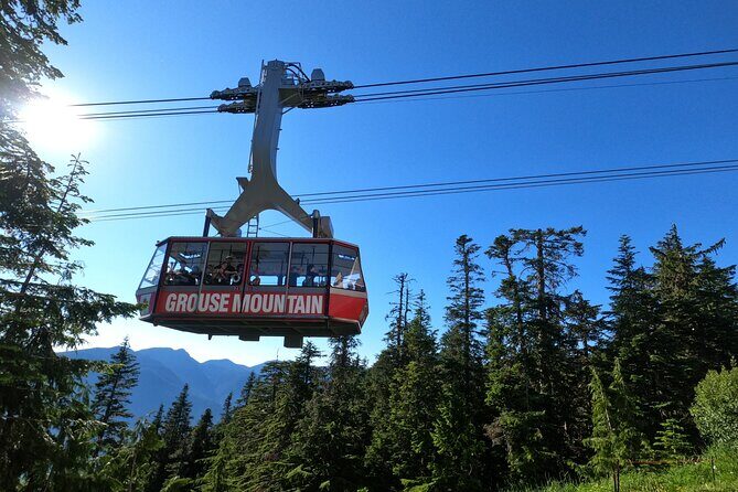 Grouse Mtn Stanley Park Hatchery Cleveland Dam Lynn Canyon Tour - Key Highlights to Know Before You Go