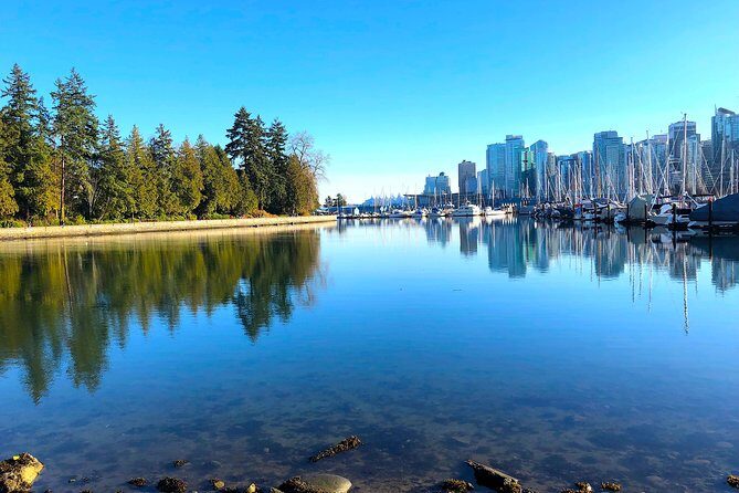 Guided Sightseeing Tour in Vancouver, Shannon Falls and Whistler - Price and value: what $187.75 buys you (and why)