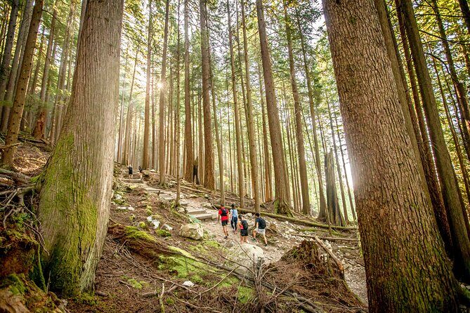 Guided Vancouver Hiking Highlights Day Tour with Gondola Download - Crossing Highway 99 and the Lion’s Gate Bridge