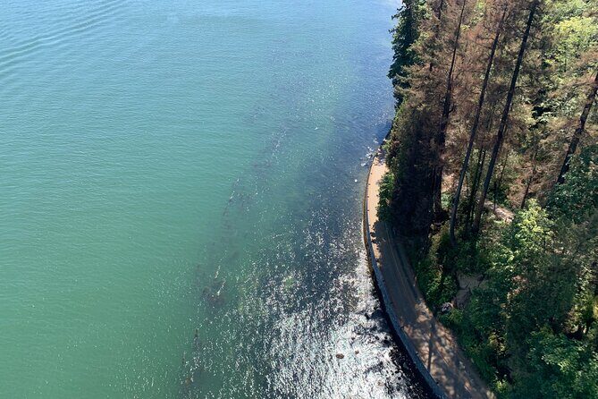 Half-day Hike and Bike Tour in Vancouver - Lighthouse Park hike: coastal forest, big trees, and a 6km walking rhythm