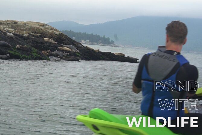 Ocean is Yours Seadoo Experience from Vancouver - The 30-Minute Safety Briefing: Where Confidence Gets Built