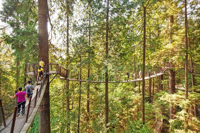 Post-Cruise Shore Excursion: Capilano Suspension Bridge & Grouse Mountain - Stop 1: Capilano Salmon Hatchery and the salmon life cycle