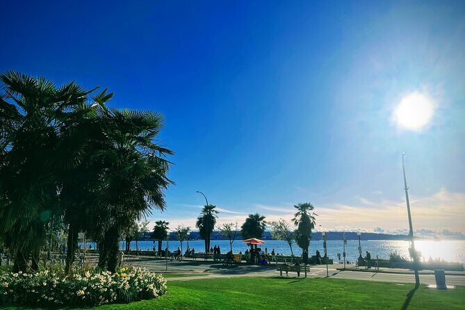 Pre Cruise Vancouver City Tour - Stanley Park in one day: rainforest, Seawall views, and viewpoints