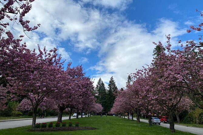 Private Guided Grand City Tour in Vancouver with your luggage - Stanley Park plus Brockton Point and the Lions Gate Bridge views