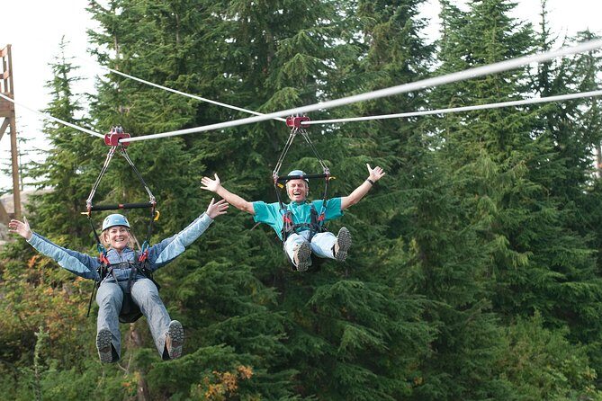 Private Tour: Capilano Suspension Bridge and Grouse Mountain - Timing, Weather, and What to Wear (Because Vancouver Has Opinions)