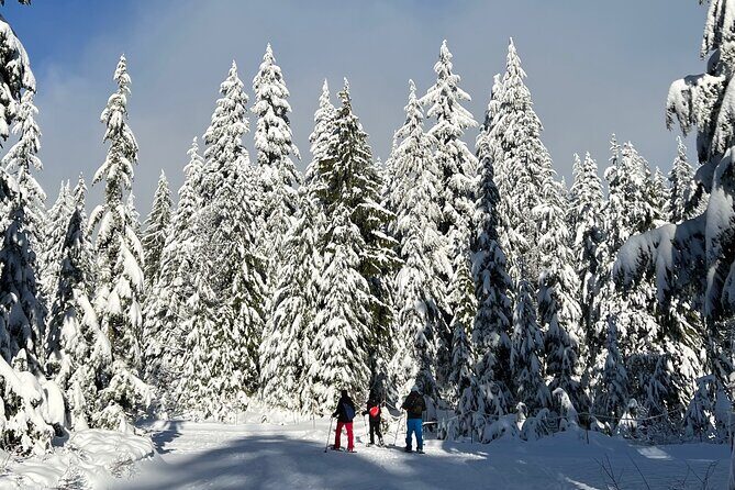 Snowshoeing At The Top Of The Sea To Sky Gondola - The gondola ride up: where you start earning the views