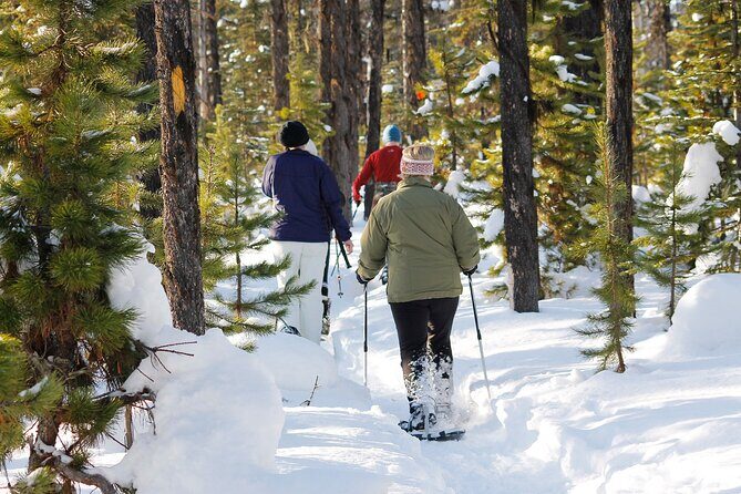 Snowshoeing At The Top Of The Sea To Sky Gondola - Sky Pilot suspension bridge: the quick thrill with big photo payoff
