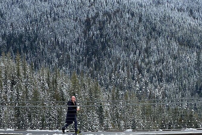Snowshoeing At The Top Of The Sea To Sky Gondola - Returning by gondola: why the down ride feels like part of the reward