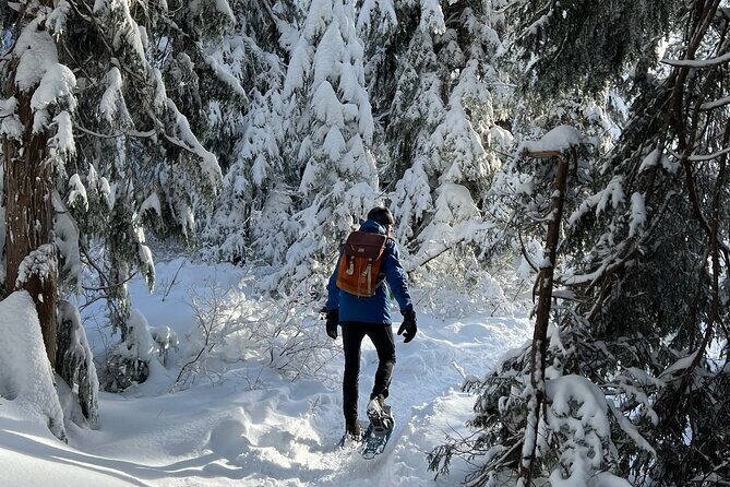 Snowshoeing At The Top Of The Sea To Sky Gondola - Price and value: what you get for $135 and why it’s not just a ticket