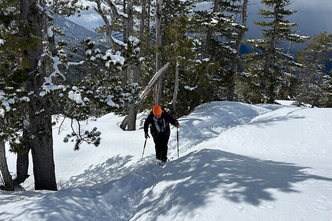 Snowshoeing At The Top Of The Sea To Sky Gondola - Door-to-door pickup and the Howe Sound drive: the calm start before the altitude
