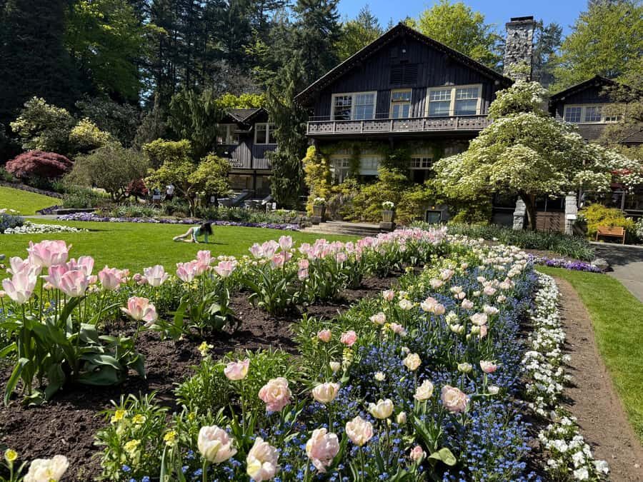 Stanley Park CarTour:SmallGroup/Comfort&CheaperThan BikeTour - Pickup by car, the Melville Street meeting point, and how to avoid day-of stress