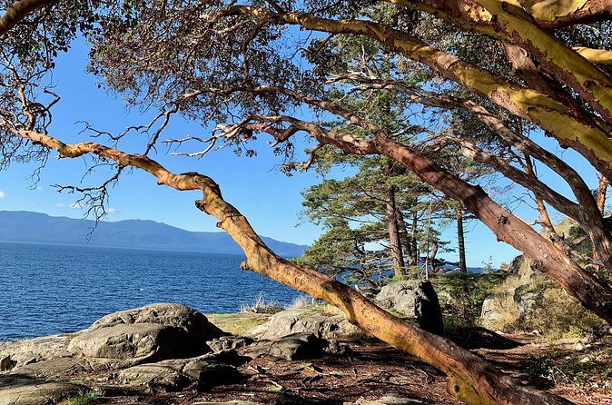 Sunshine Coast Escape (Around Vancouver) Small Group Tour - Getting back to Langdale: wrap-up without drama