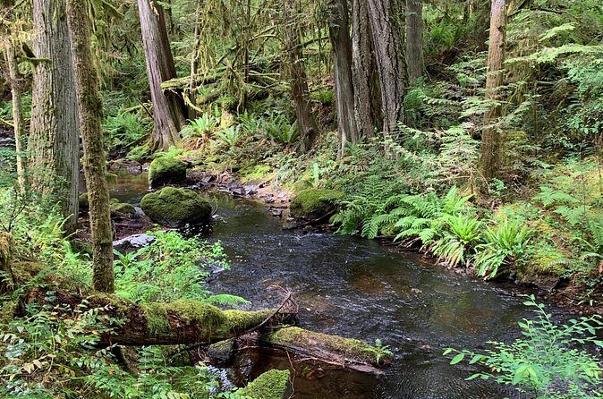 Sunshine Coast Escape (Around Vancouver) Small Group Tour - Value check: is $160.61 per person a smart deal?