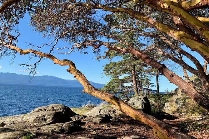 Sunshine Coast Escape (Around Vancouver) Small Group Tour - Stop-by-stop: what each part of the Sunshine Coast day gives you