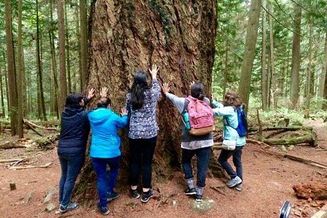 Talking Trees: Stanley Park Indigenous Walking Tour Led by a First Nations Guide - Who This Tour Suits Best (And Who Might Want Something Else)