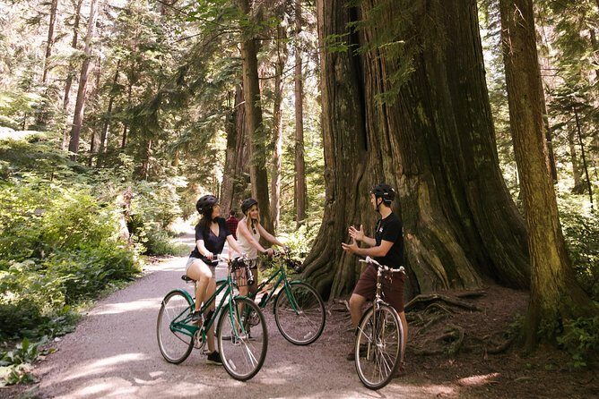 The Stanley Park Bicycle Tour by Cycle City Tours - What you actually get for $81.35: value check