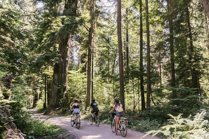 The Stanley Park Bicycle Tour by Cycle City Tours - Stanley Park’s temperate rainforest trails and lagoon story