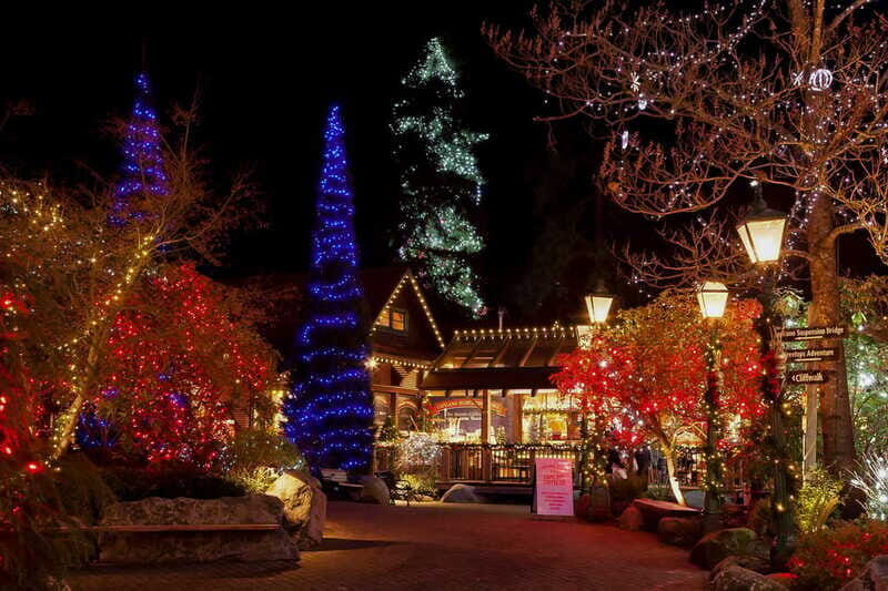 Vancouver and Capilano Suspension Bridge Canyon Lights - Price and Value: Is $130 Worth It for This 5-Hour Loop?