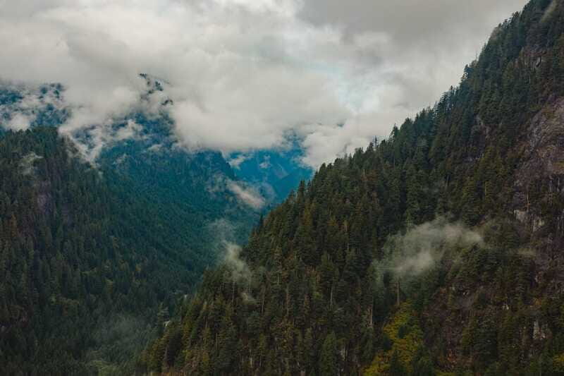 Vancouver: Backcountry Helicopter Tours with Hotel Pickup - Price and value: is $305 per person worth it?