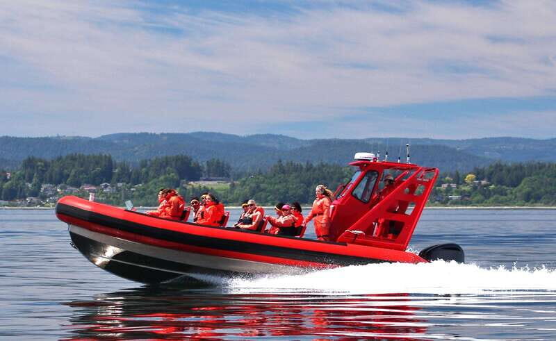 Vancouver, BC: Whale Watching Tour Small Zodiac with Guide - Entering Strait of Georgia on a 12-Passenger Zodiac