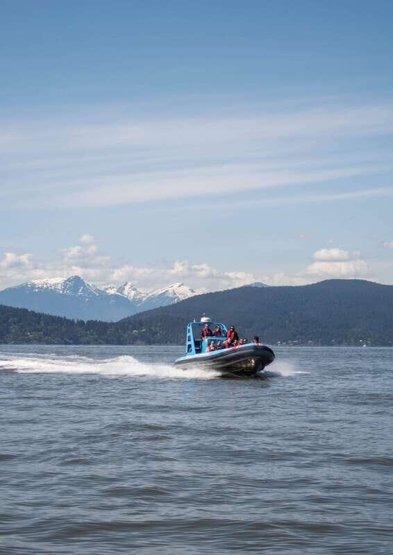 Vancouver: Boat to Bowen Island on UNESCO Howe Sound Fjord - Two Seal Colonies From Small Zodiacs: The Part That Gets People Talking