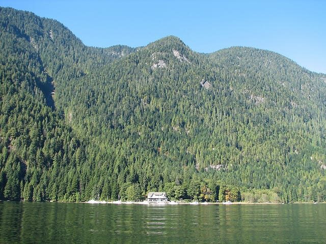 Vancouver Brunch Cruise - Weather, Smoke, and Sea Conditions: How to Plan Smart