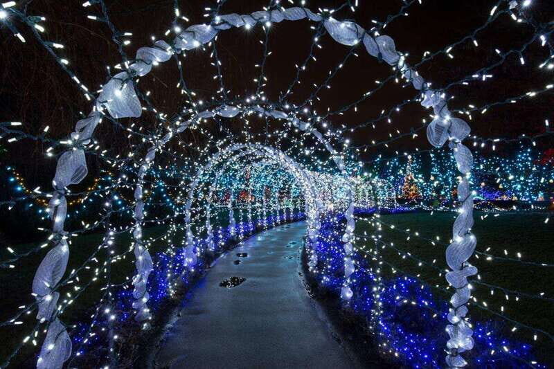 Vancouver Christmas Lights Karaoke Trolley Tour - Price and Value: What $53.47 Actually Buys