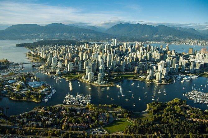 Vancouver City and Harbour Waterfront Sightseeing Boat Tour - Wildlife spotting on Vancouver Harbour: seals, eagles, dolphins, and occasional surprises