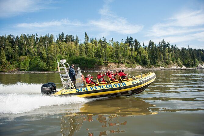 Vancouver City and Nature Waterfront Sightseeing Boat Tour - Comfort and safety: who should think twice