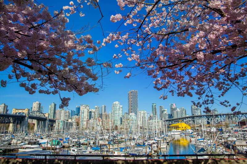Vancouver: City & Granville Island Sightseeing Trolley Tour - Granville Island Public Market: Your Best Hour of Personal Time