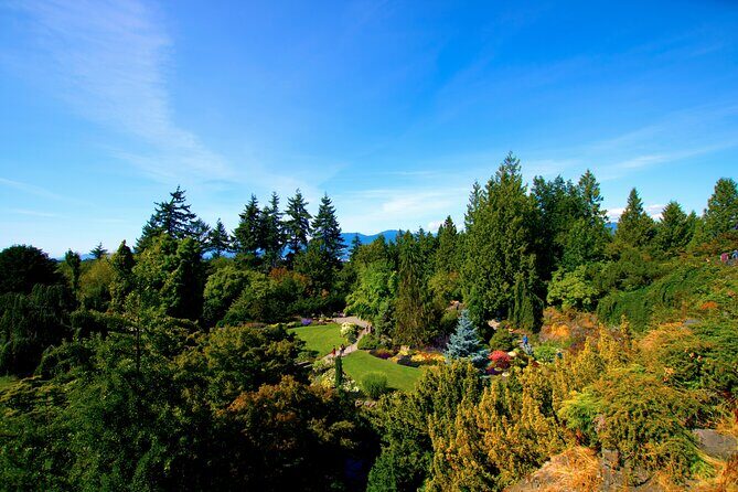 Vancouver City Highlights - Private Tour up to 14 guests - Entering Vancouver by the best shortcut: the route logic