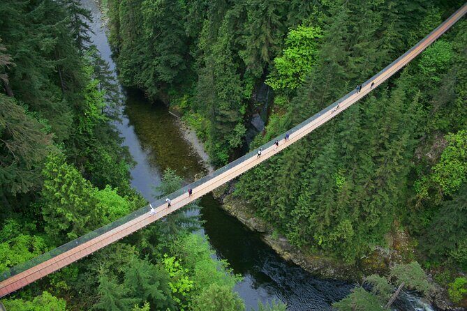 Vancouver City Sightseeing Tour: Capilano Suspension Bridge & Vancouver Lookout - Vancouver Lookout at Harbour Centre: glass elevator to 553 feet