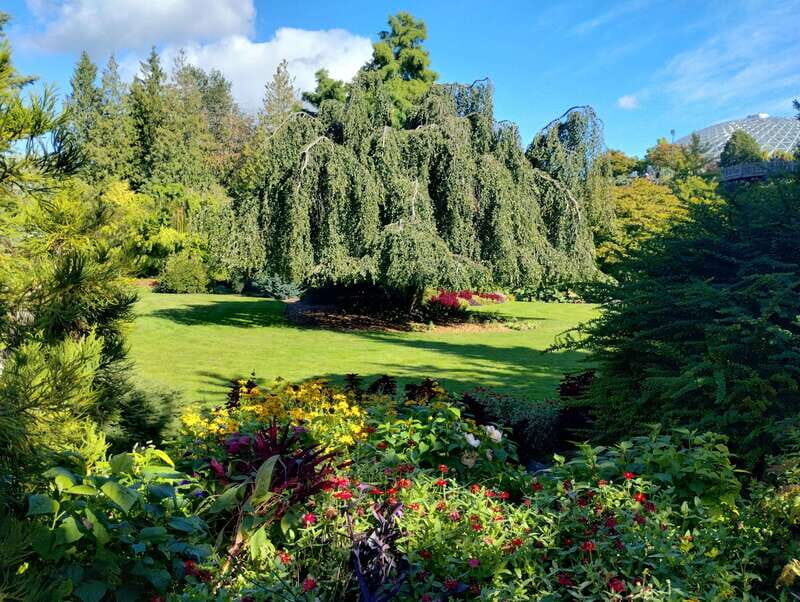 Vancouver City Tour: The Only Full Small-Group Car Tour - A Small-Group Car Tour That Actually Shows Vancouver