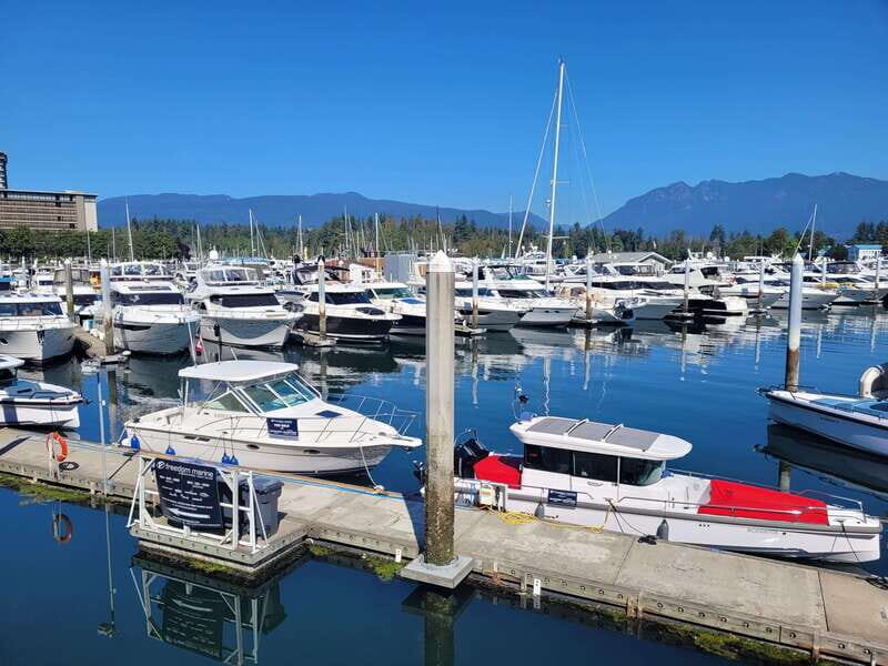Vancouver City Tour: The Only Full Small-Group Car Tour - Queen Elizabeth Park: Quarry Garden Views From Vancouver’s Highest Point