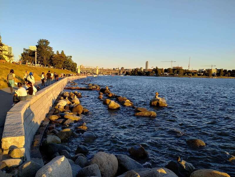 Vancouver City Tour: The Only Full Small-Group Car Tour - Pickup and Timing: How to Make the 5 Hours Feel Like More