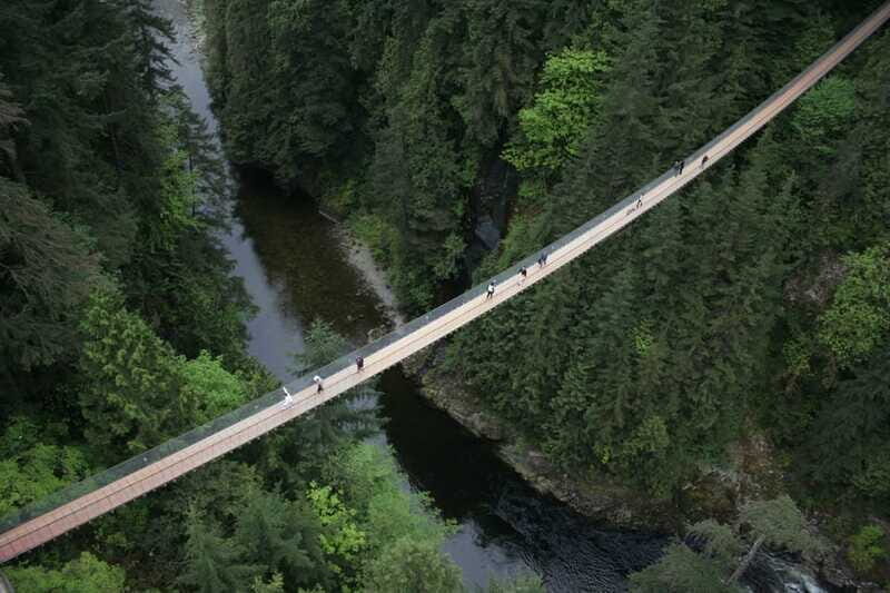 Vancouver: City Tour with Capilano Suspension Bridge - Who this tour fits best (and who should reconsider)