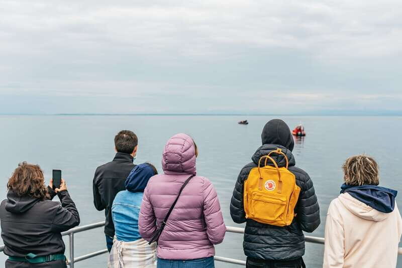 Vancouver: Covered Whale Watching Adventure with Free Photos - Live onboard guidance: how the crew turns sighting time into real learning