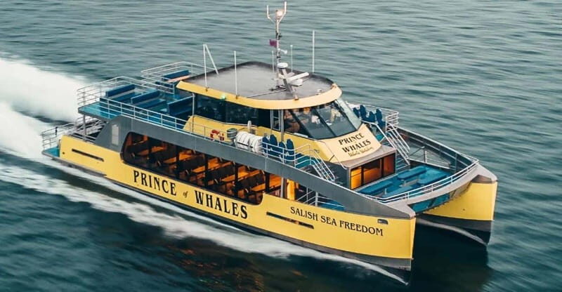 Vancouver: Covered Whale Watching Adventure with Free Photos - Price and value check: is $188 really fair?