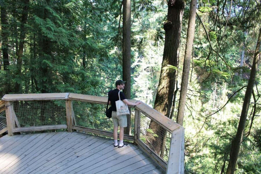 Vancouver Highlights: Capilano Bridge & Granville Island - Key highlights worth your attention