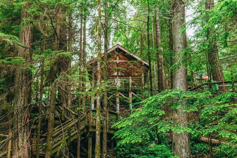 Vancouver Highlights: Capilano Bridge & Granville Island - Who this tour fits best (and who should choose differently)